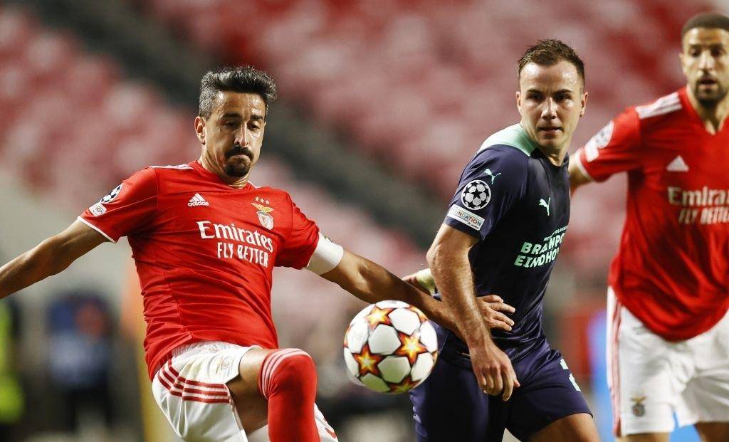 加维与奥尔 加维与奥尔